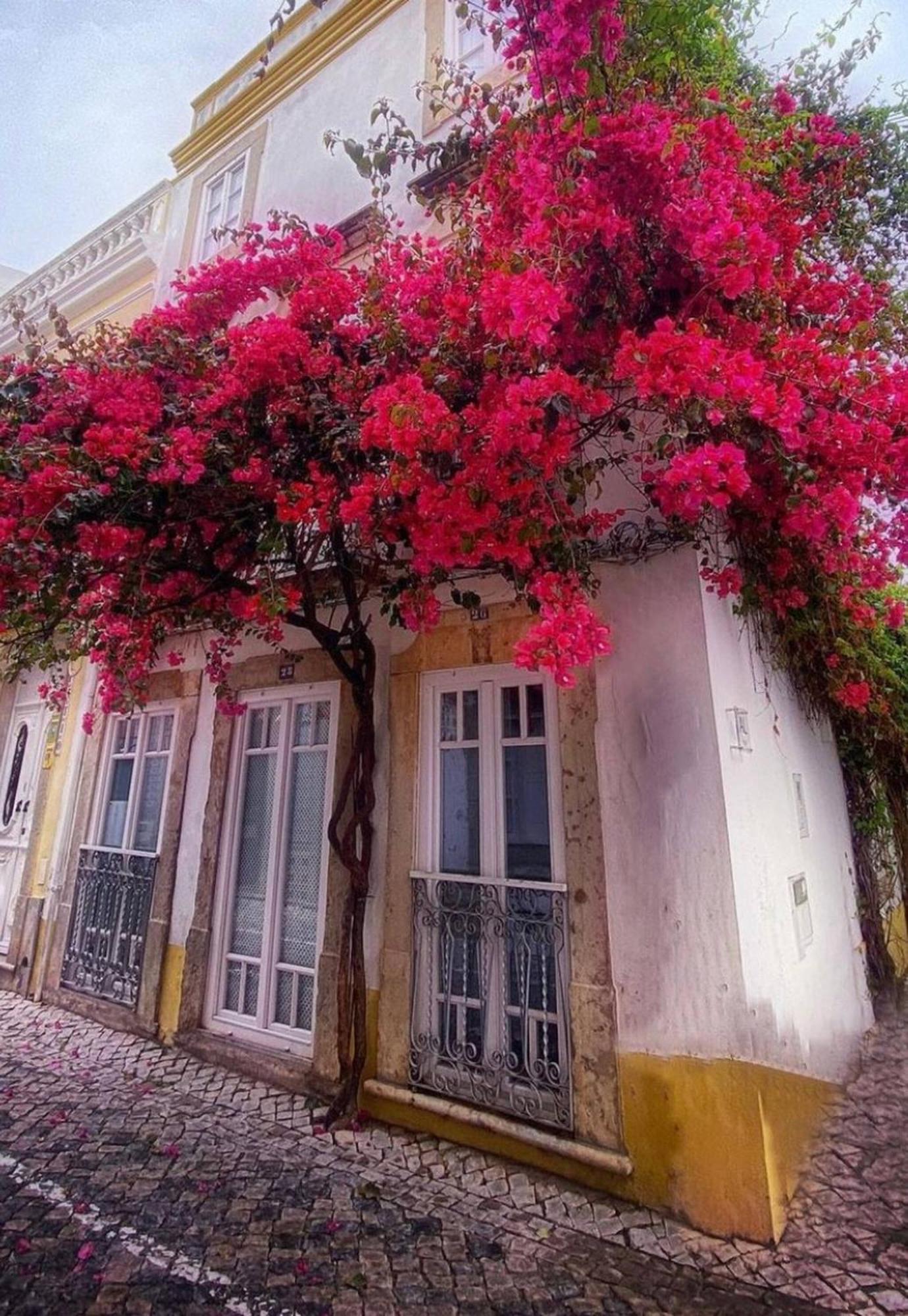 Stylish Studio Gilao In Taviras Historical Centre المظهر الخارجي الصورة